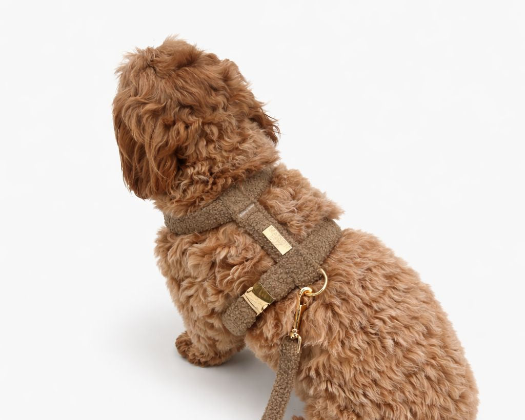 Bouclé Y-Harnas Bruin