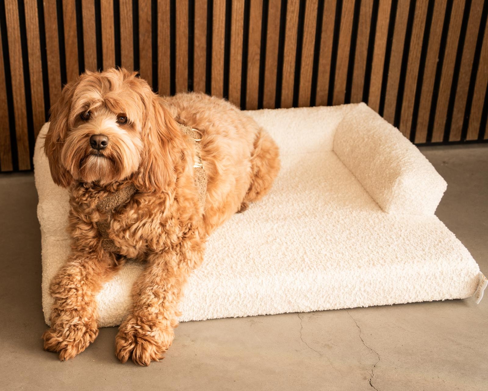 Bouclé Hondenmand Beige