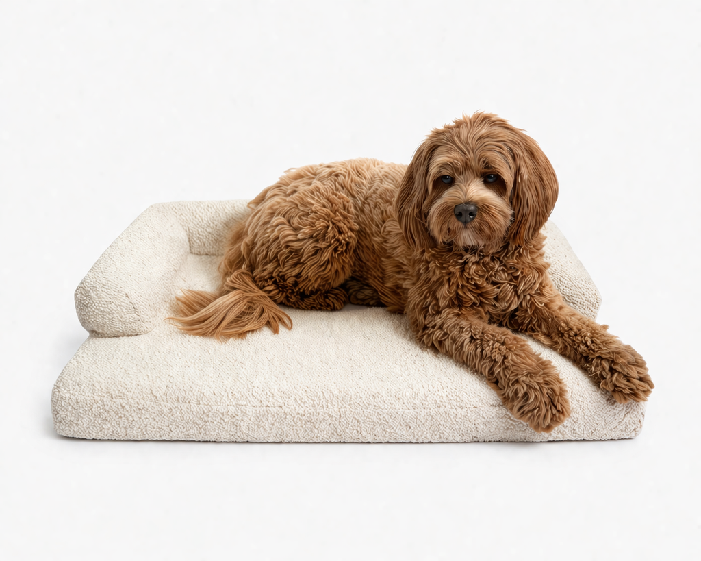 Bouclé Hondenmand Beige