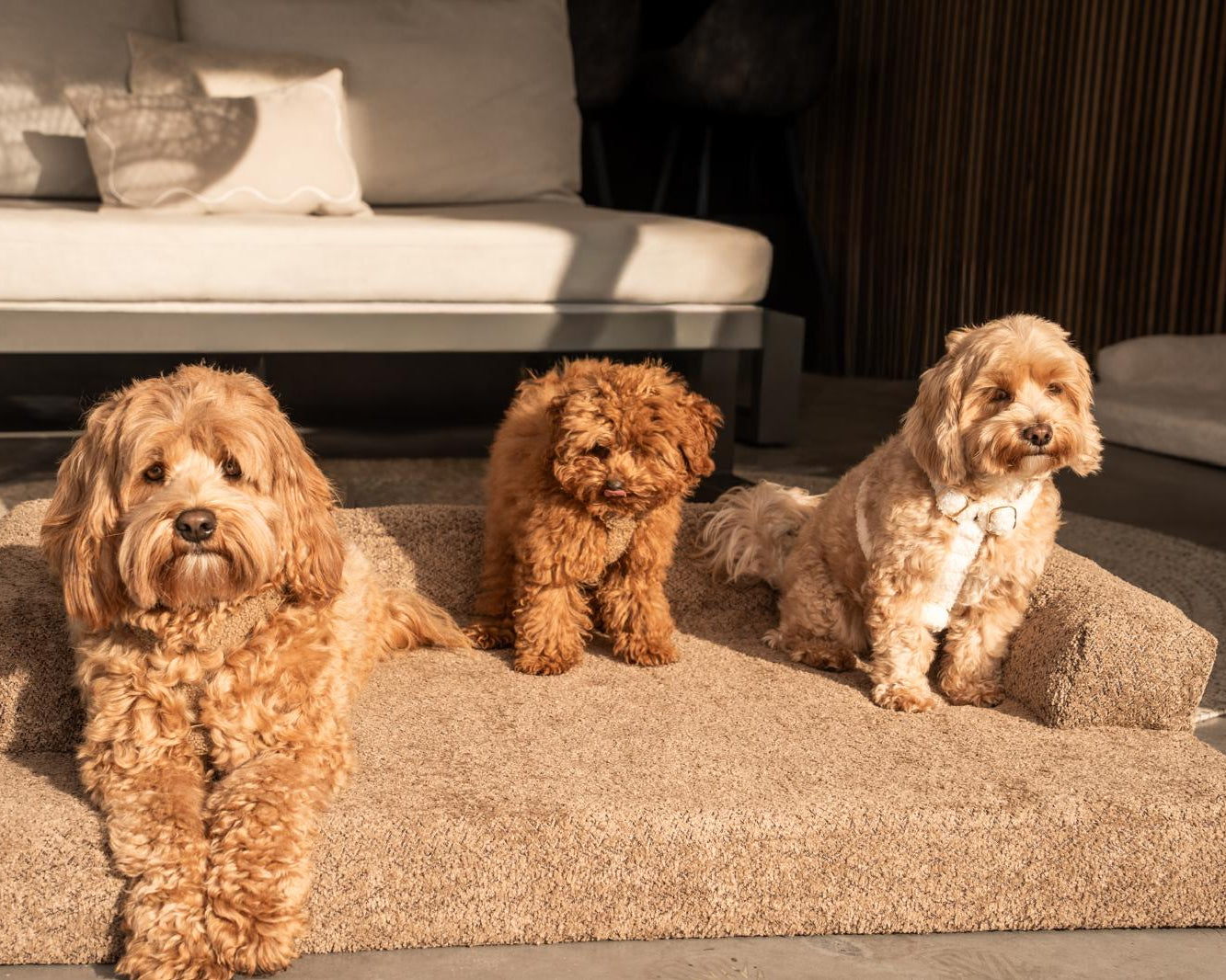 Bouclé Hondenmand Bruin