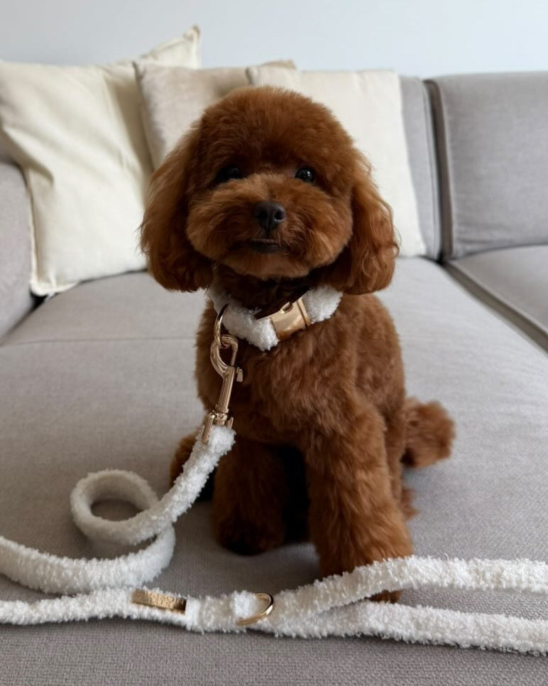 Bouclé Set met Halsband - Wit