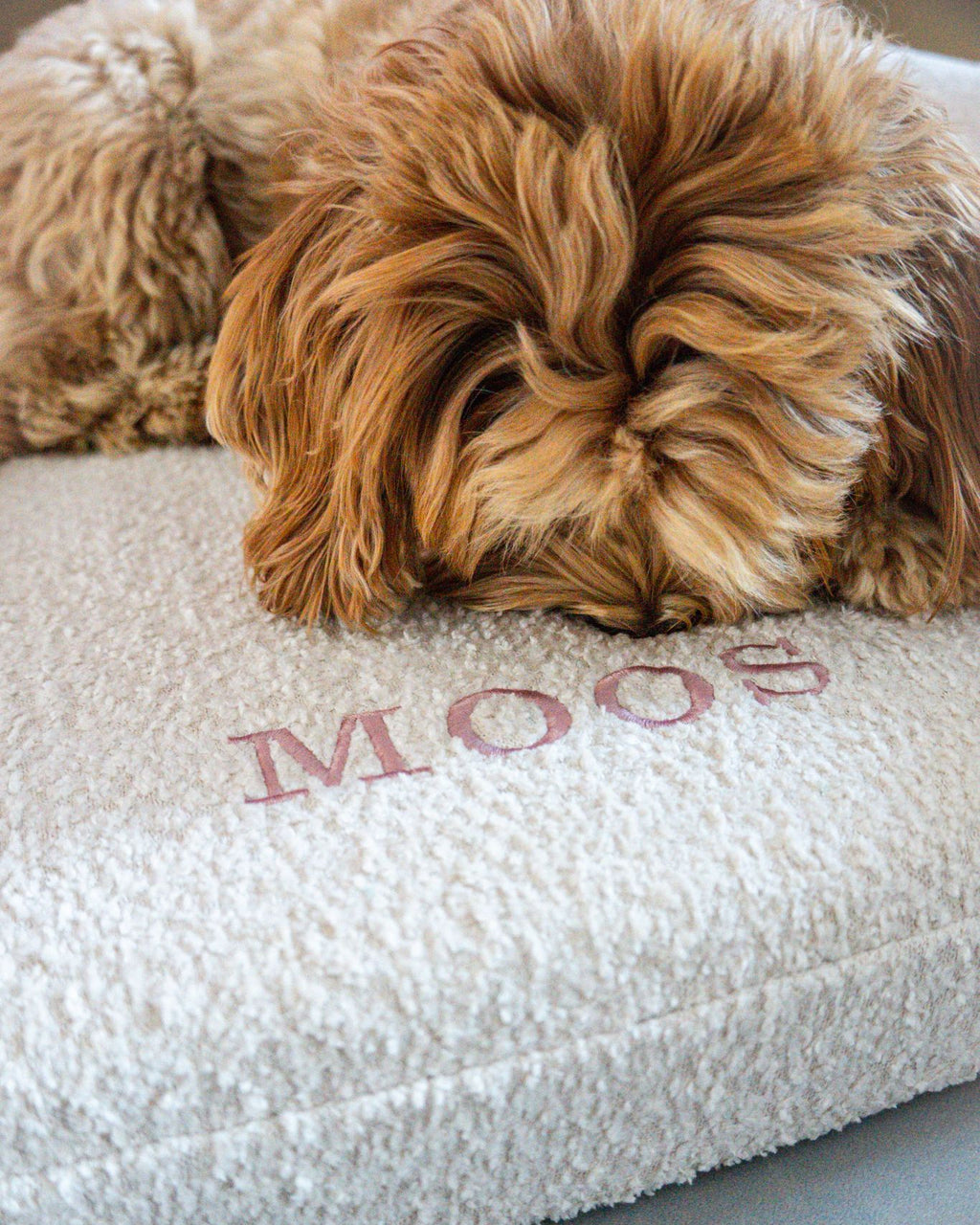 Bouclé Hondenmand Beige - Met Naam