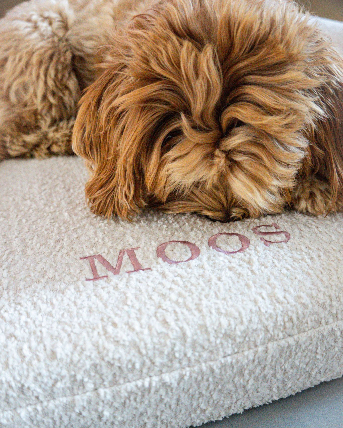 Bouclé Hondenmand Beige - Met Naam