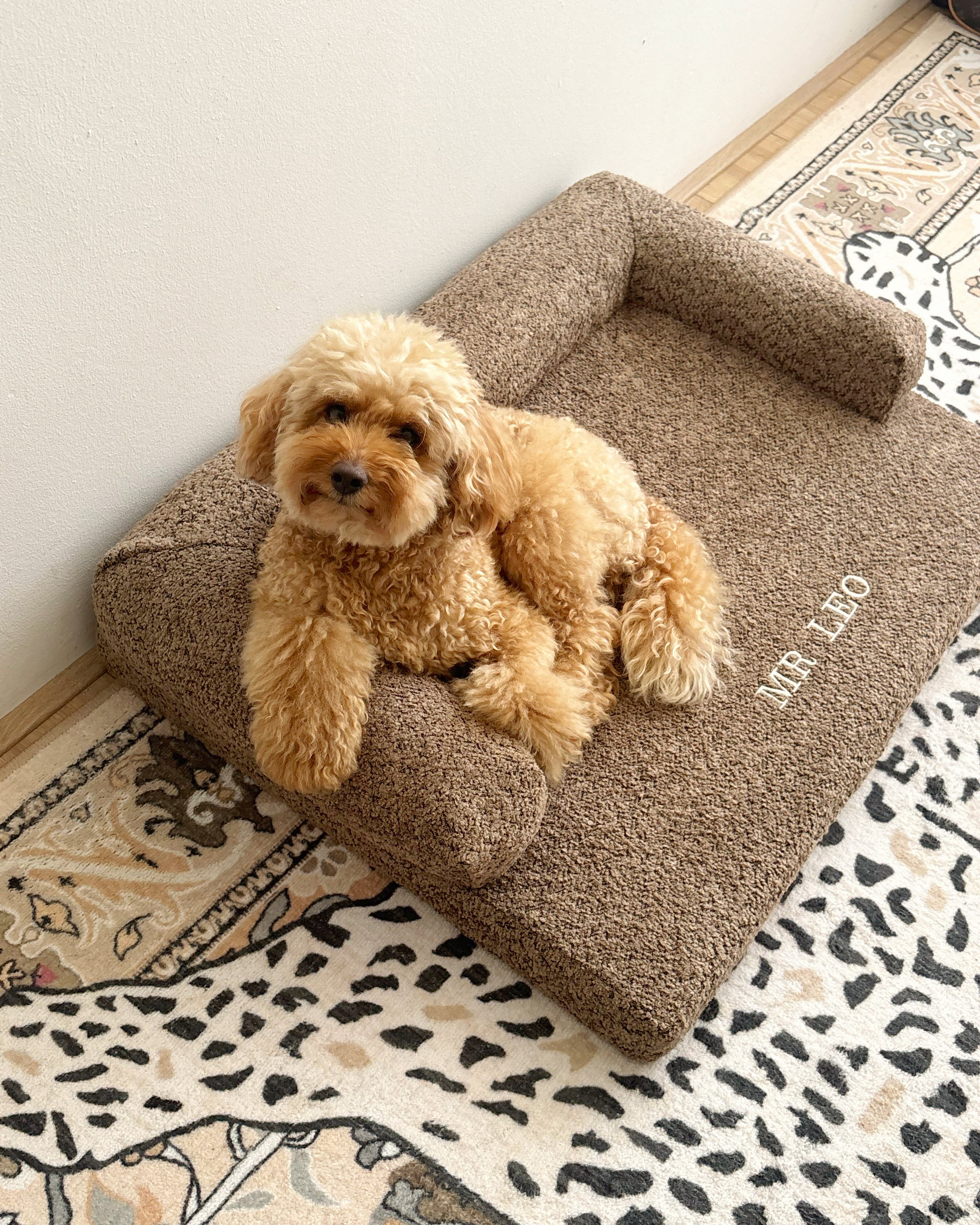 Bouclé Hondenmand Bruin - Met Naam