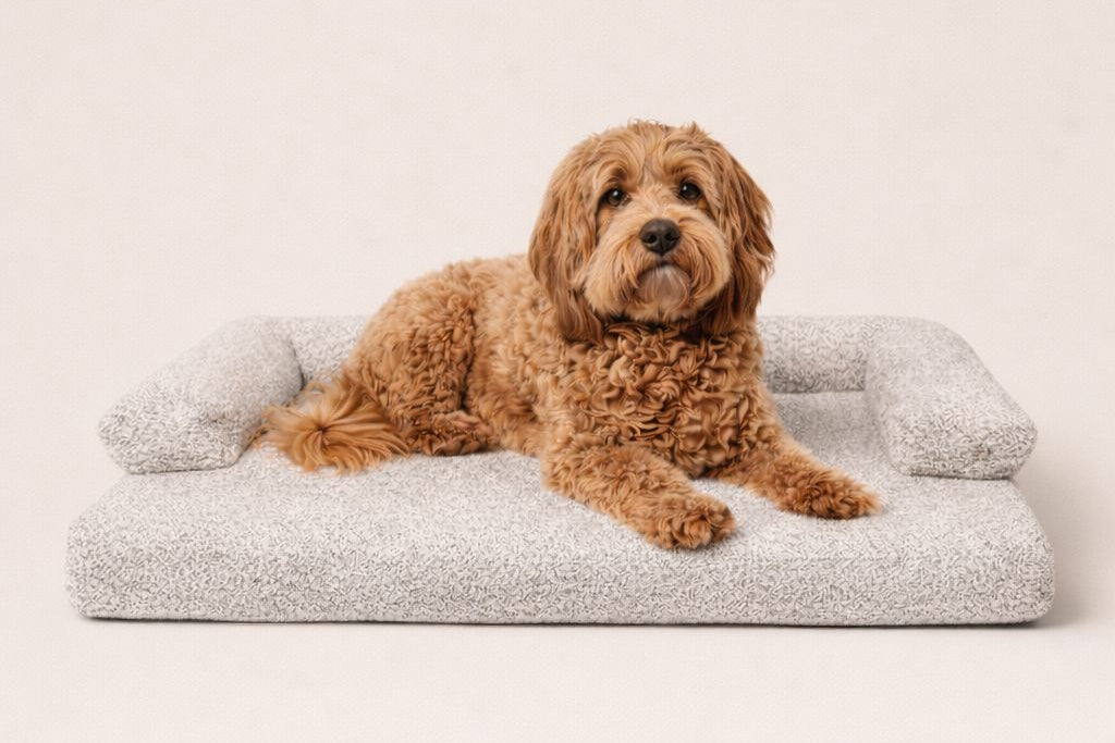 Bouclé Hondenmand Licht Grijs - Met Naam