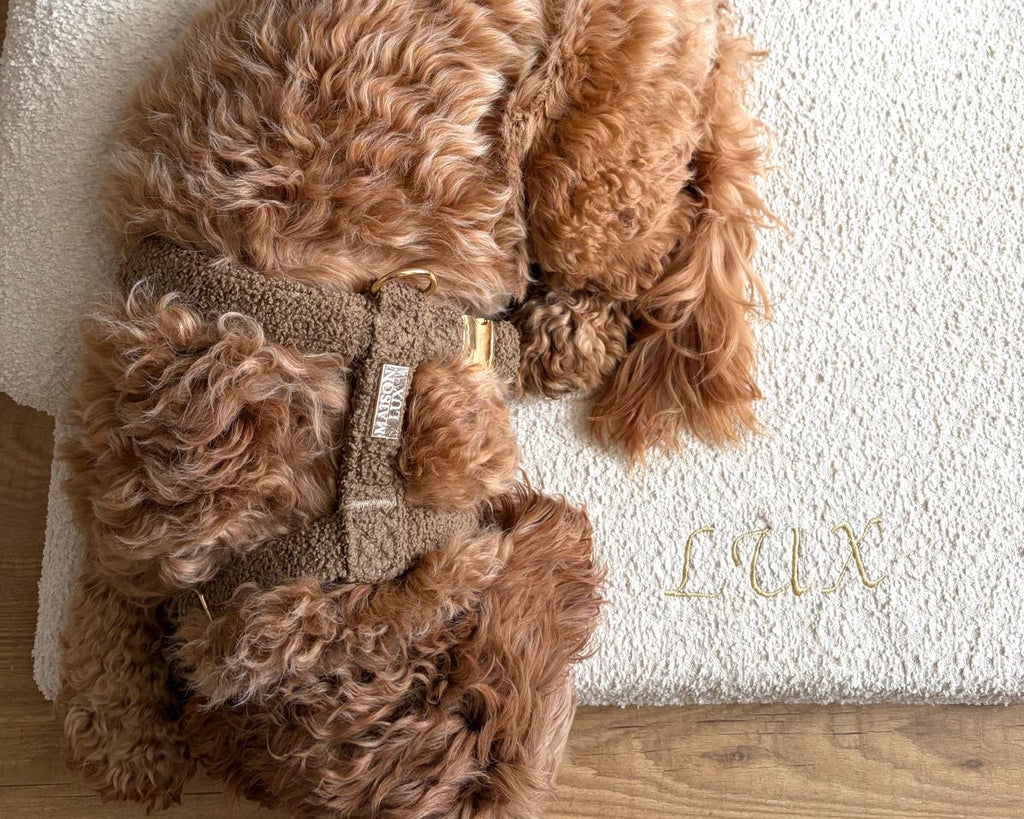 Bouclé Hondenmand Beige - Met Naam