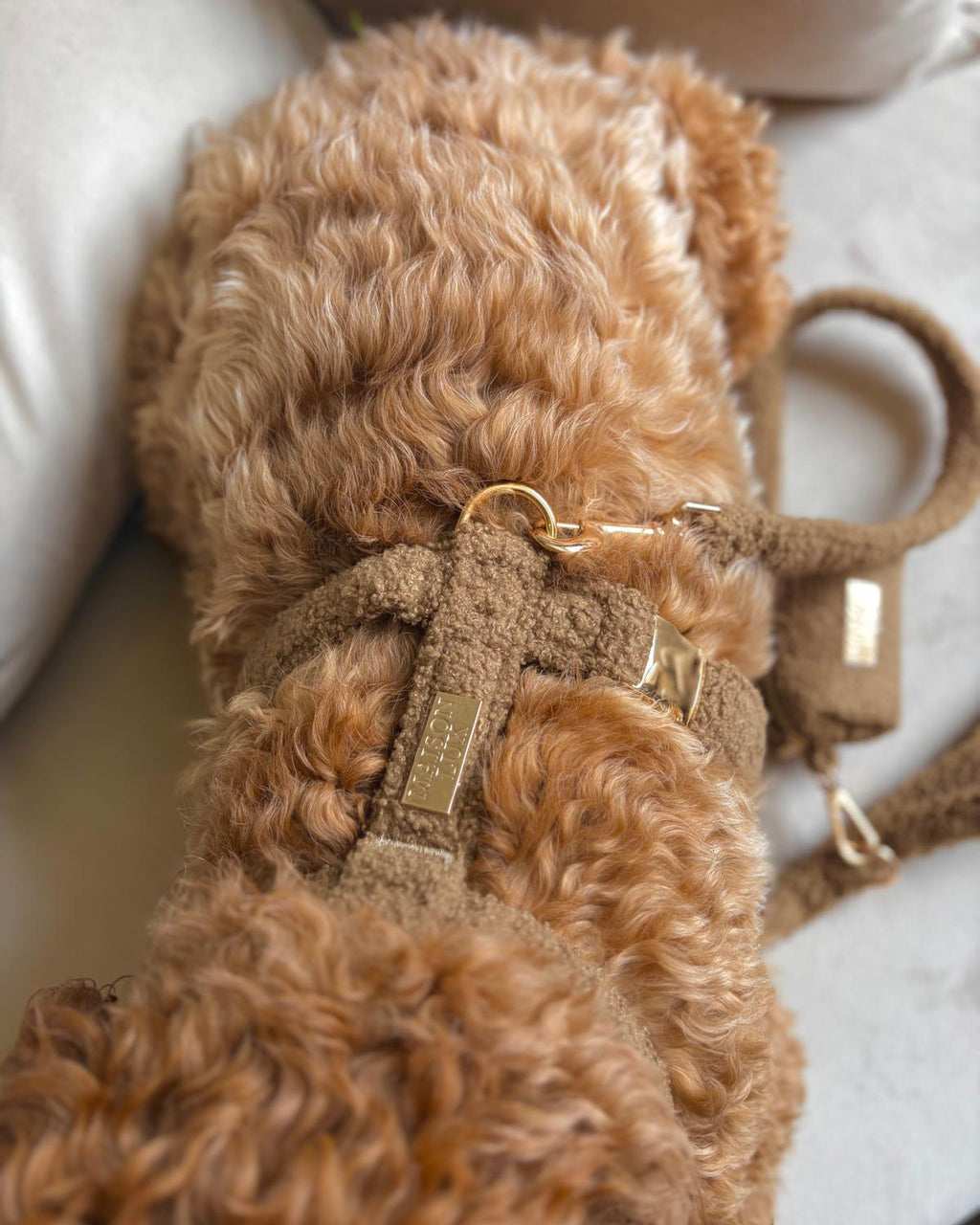 Bouclé Set met Harnas - Bruin