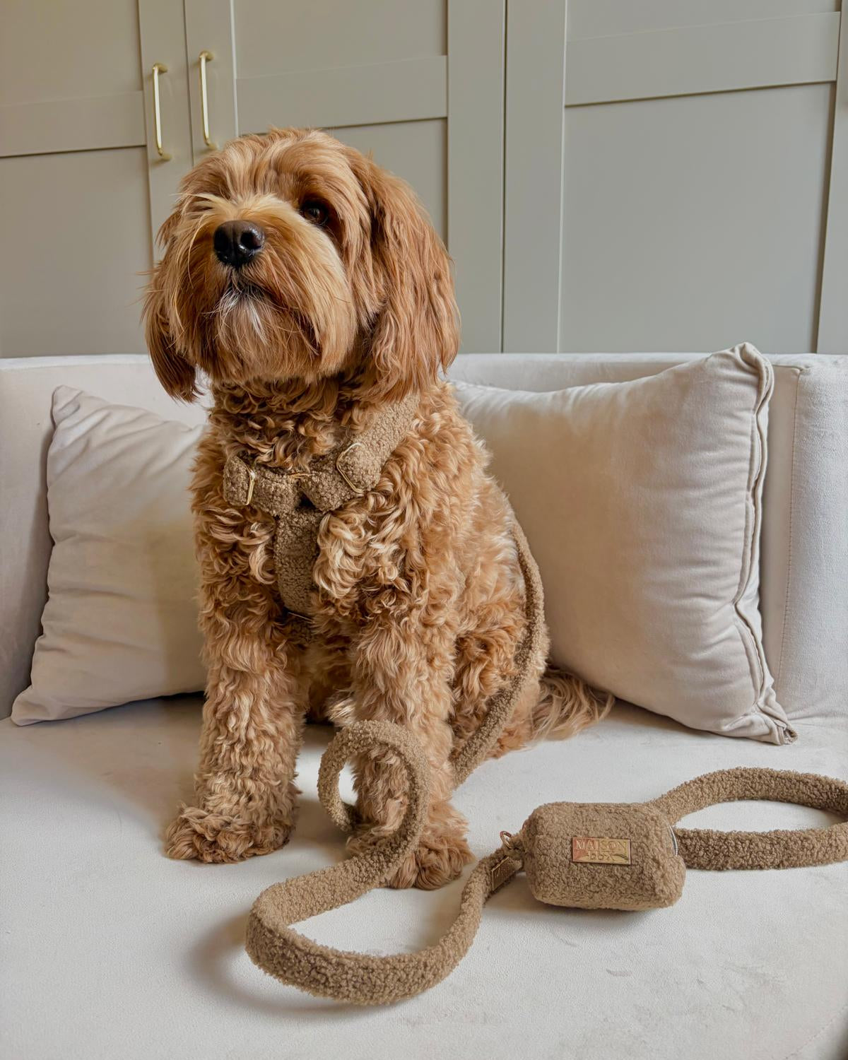 Bouclé Set met Harnas - Bruin