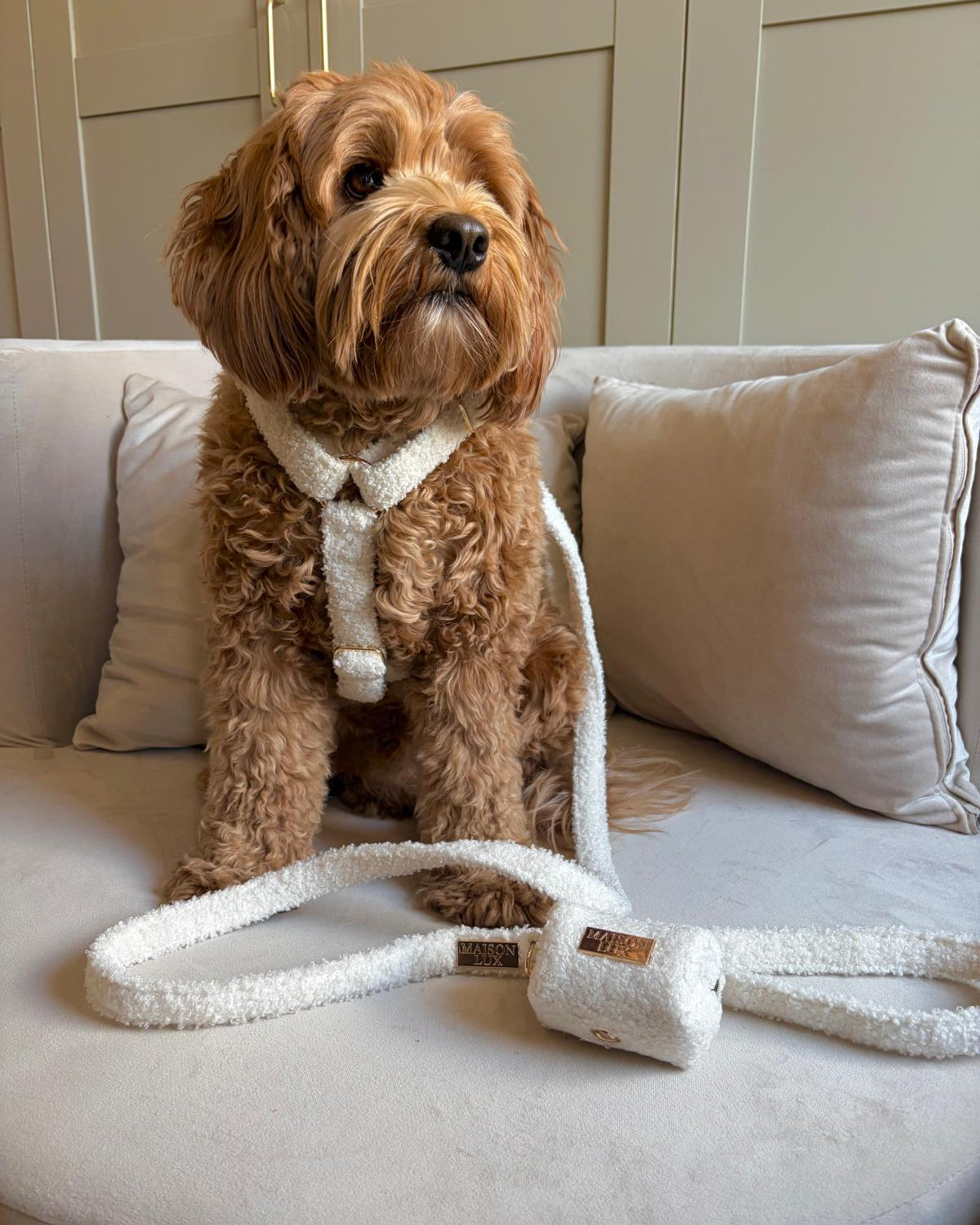Bouclé Set met Harnas - Wit