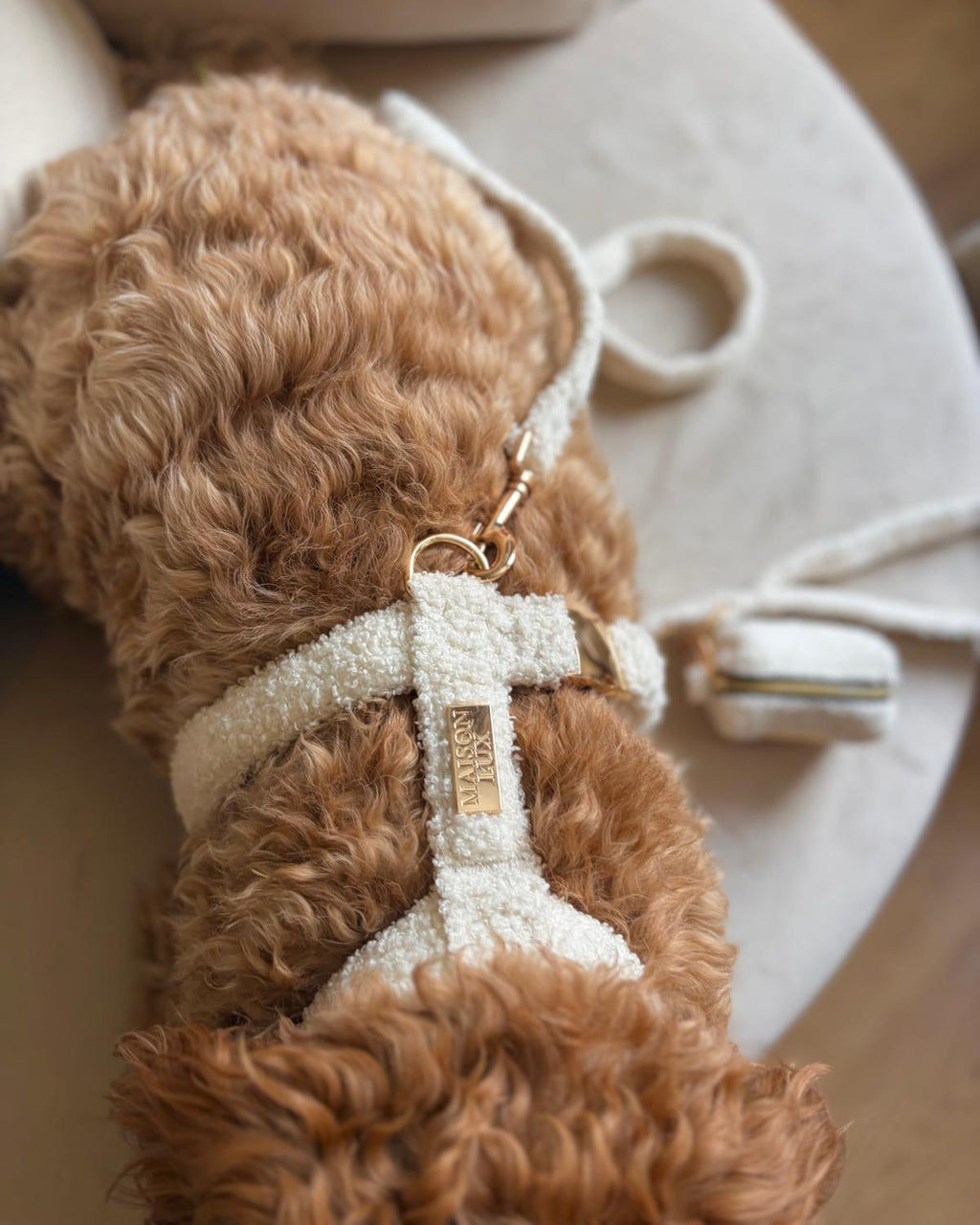Bouclé Set met Harnas - Wit
