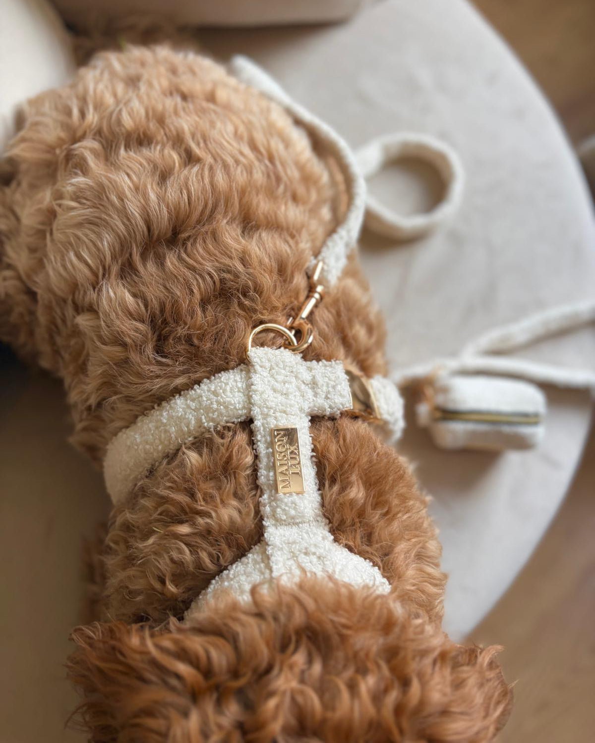 Bouclé Set met Harnas - Wit